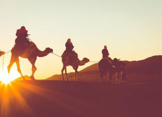 Kisah Nabi Sholeh ‘Alaihissalam Sesi 1