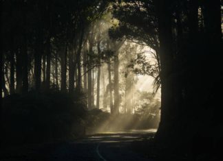 Wajah Beseri-seri di Hari Akhir, Siapa Mereka? (Tadabbur QS. Al-Qiyamah: 22-23)