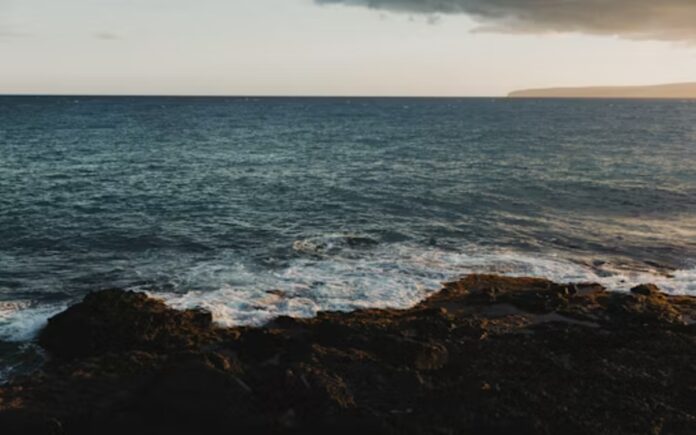 Laut Laut