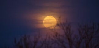 Sya’ban: Bulan Penuh Ampunan jangan Sia-siakan! Bulan