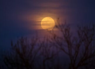 Sya’ban: Bulan Penuh Ampunan jangan Sia-siakan! Bulan