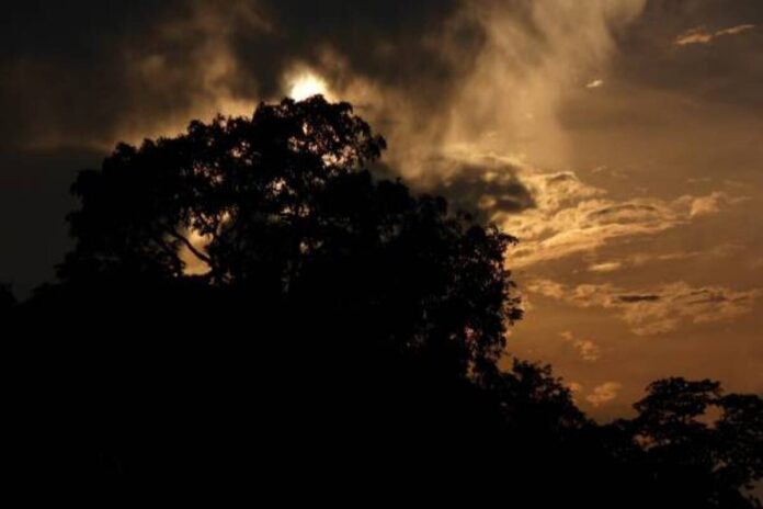 Langit Langit
