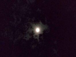 Bulan