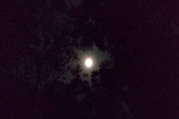 Bulan Bulan